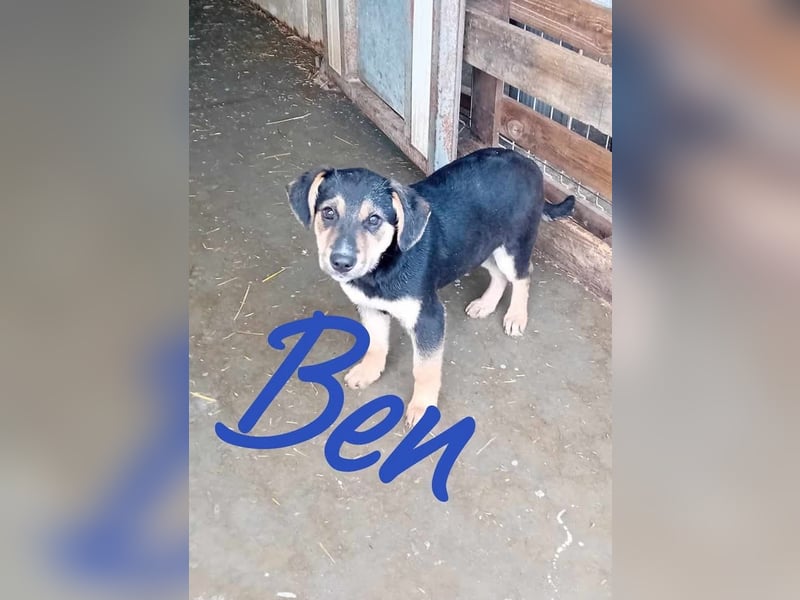 Unser süßer Ben