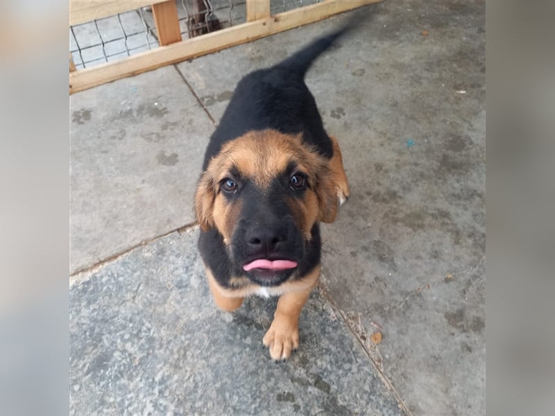 Unser verspielter Lenny