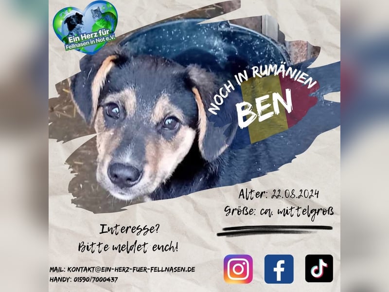 Unser süßer Ben
