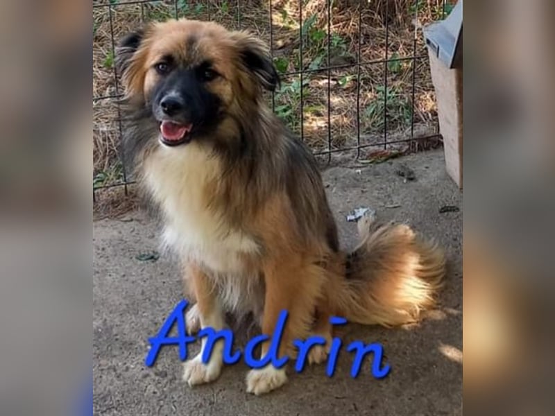 Unser wunderschöner Andrin