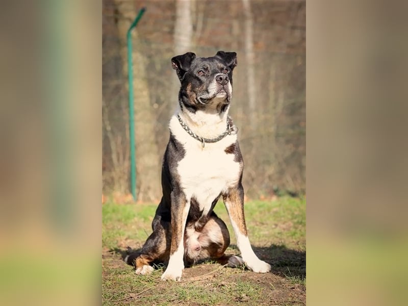 AVANT   -   Flotter Senior