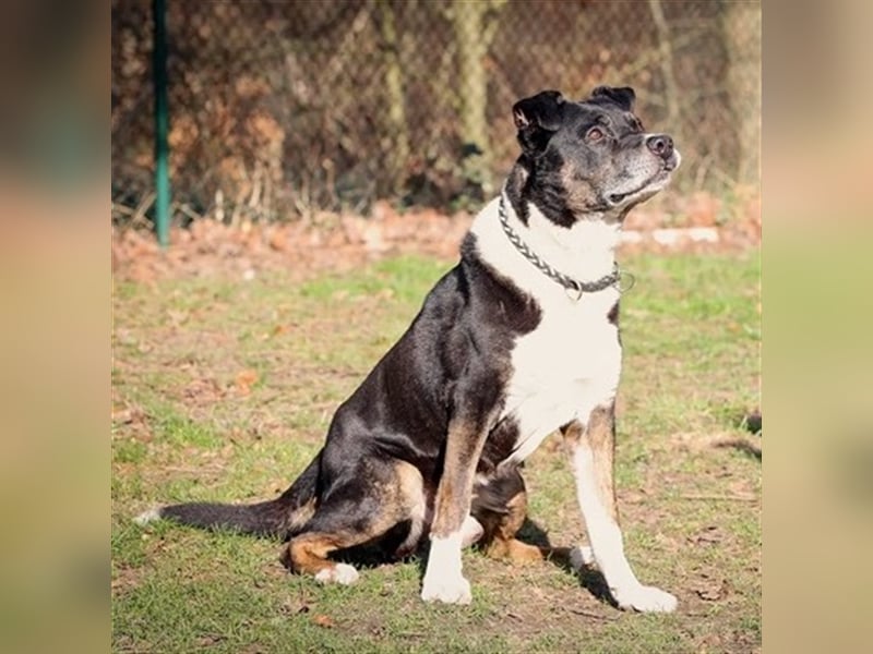 AVANT   -   Flotter Senior