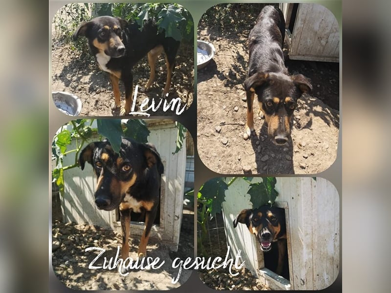 Levin sucht seine Menschen