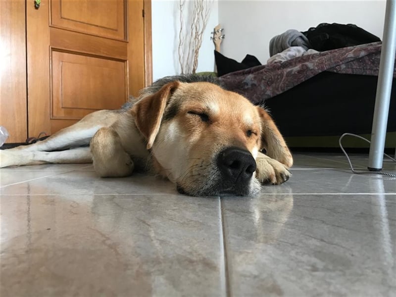 Brian: „Geht es bald nachhause?