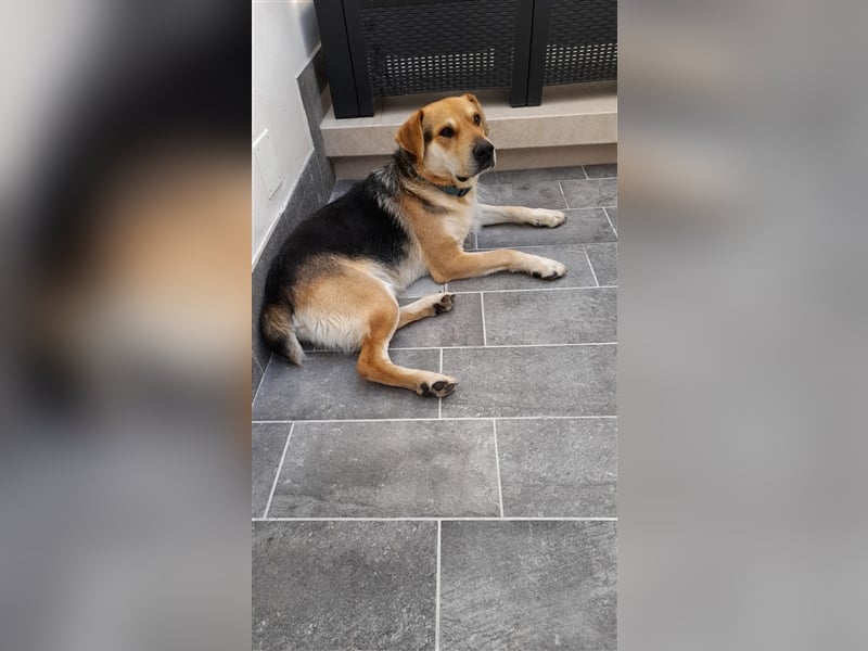 Brian: „Geht es bald nachhause?