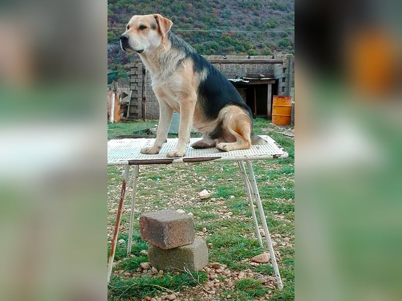 Brian: „Geht es bald nachhause?
