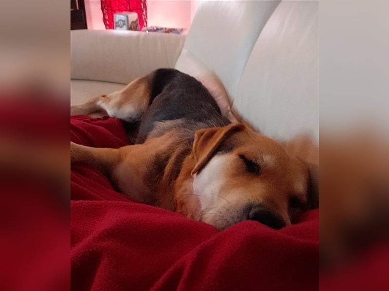 Brian: „Geht es bald nachhause?