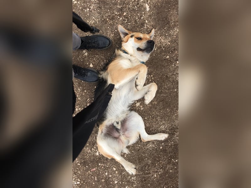 Brian: „Geht es bald nachhause?