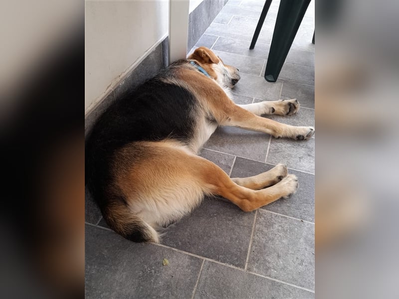 Brian: „Geht es bald nachhause?