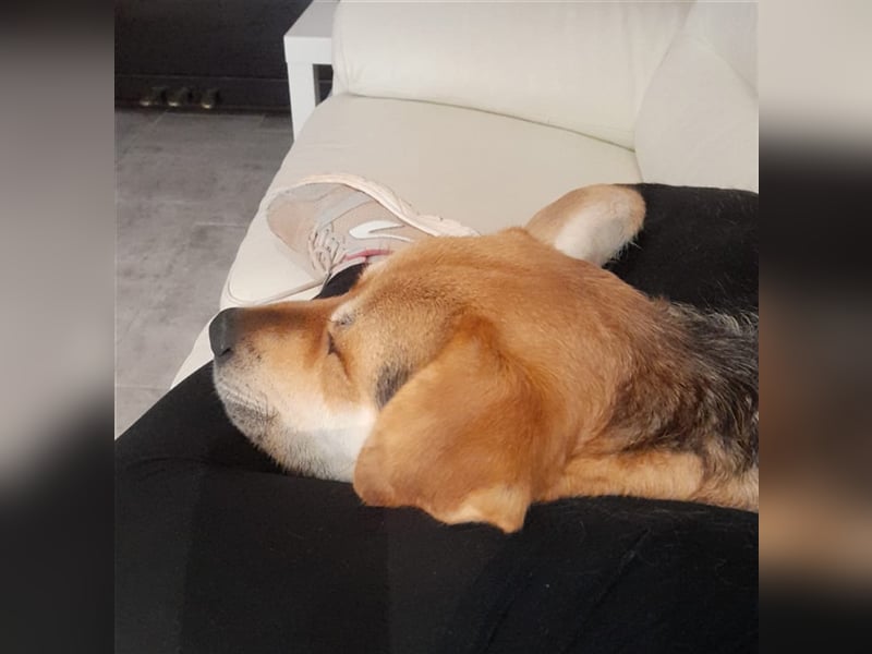 Brian: „Geht es bald nachhause?