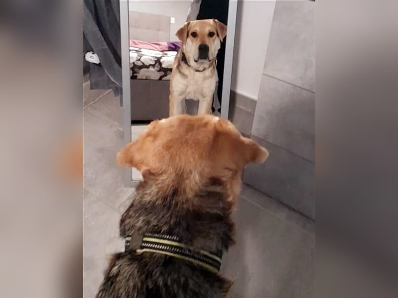 Brian: „Geht es bald nachhause?