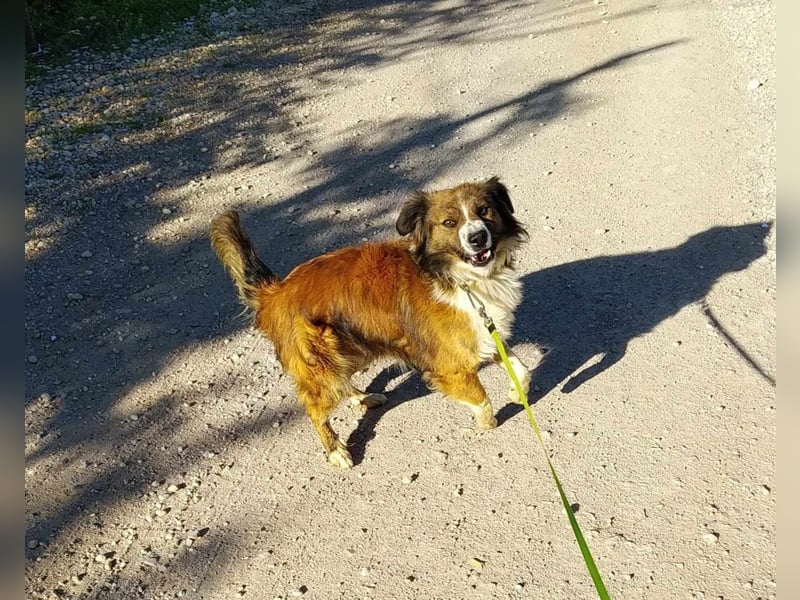 ZEUS