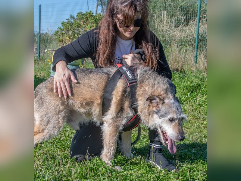 Lucky – mit Handicap