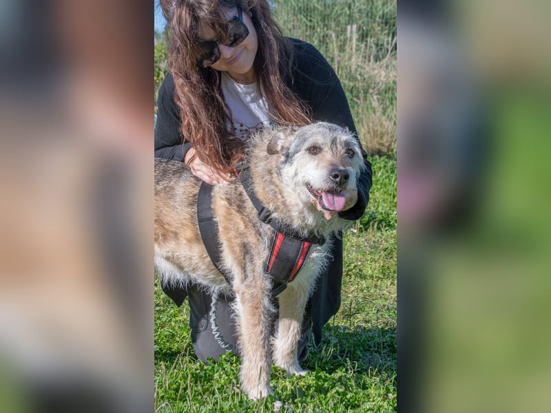 Lucky – mit Handicap