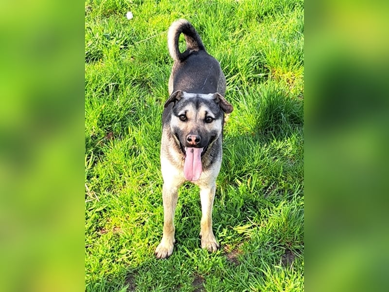 Ralf ( * 04.2022 ) sucht seine Menschen