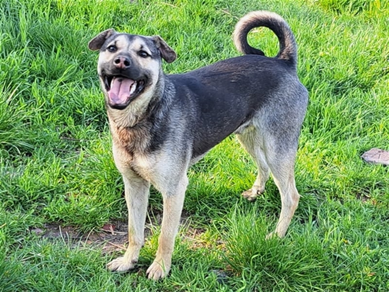 Ralf ( * 04.2022 ) sucht seine Menschen