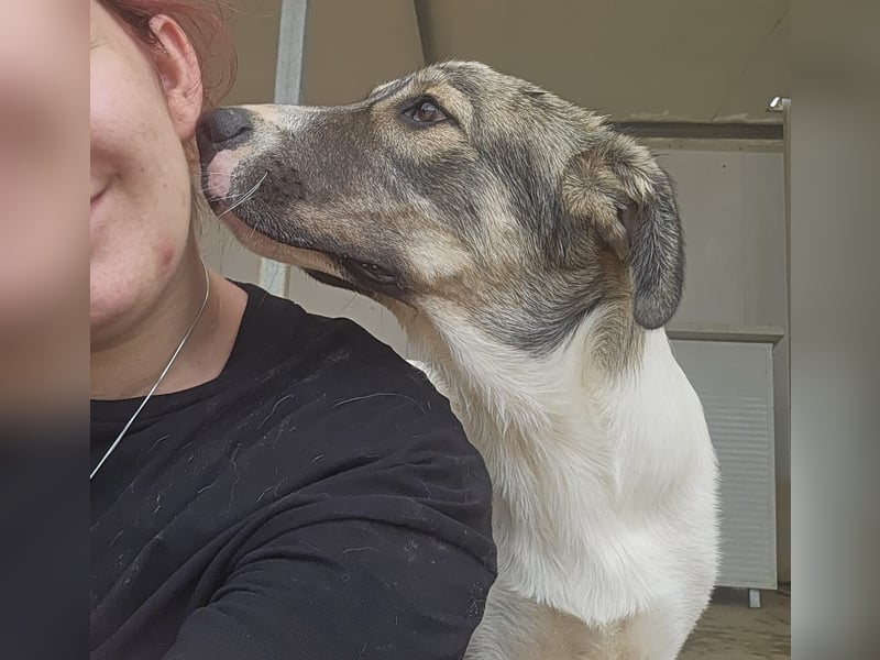 Gael - suche meine Familie