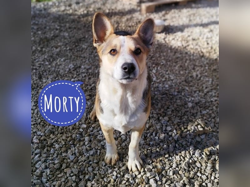 Morty ein Ohoooo