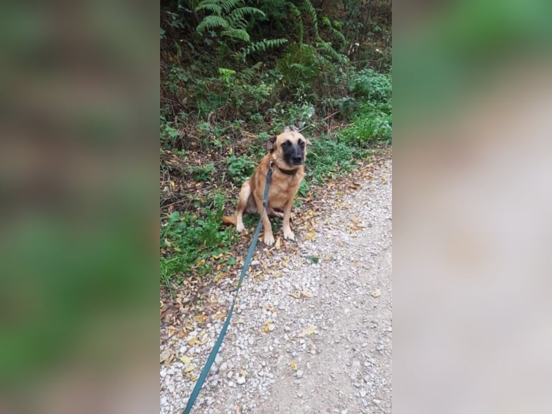 Max