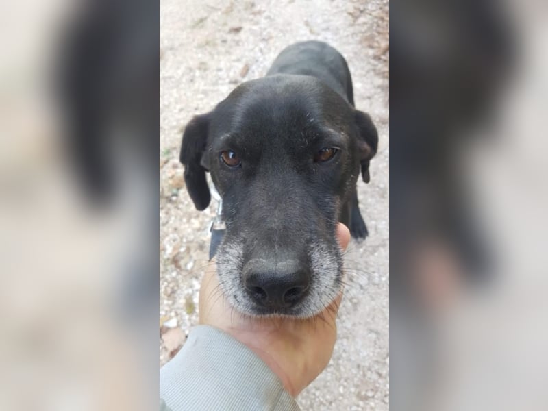 Santos