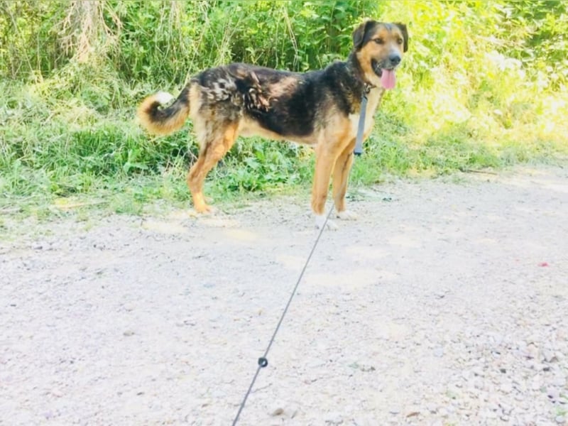 Copper