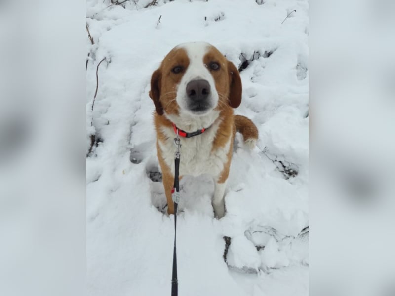 Snowy