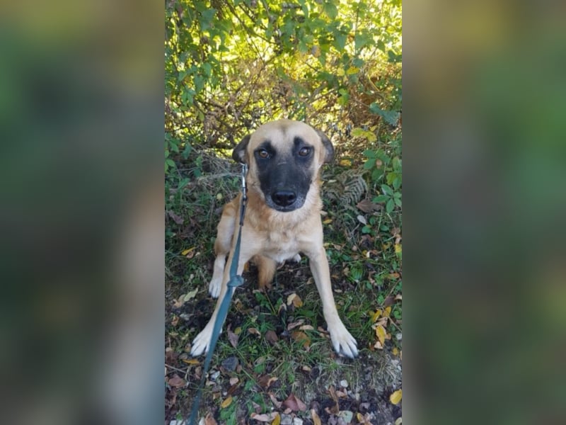 Max