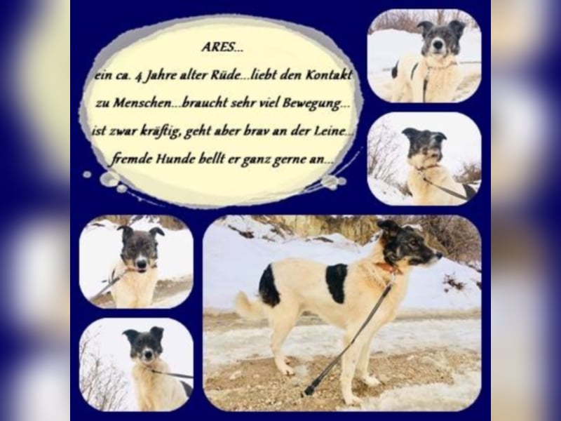 Ares
