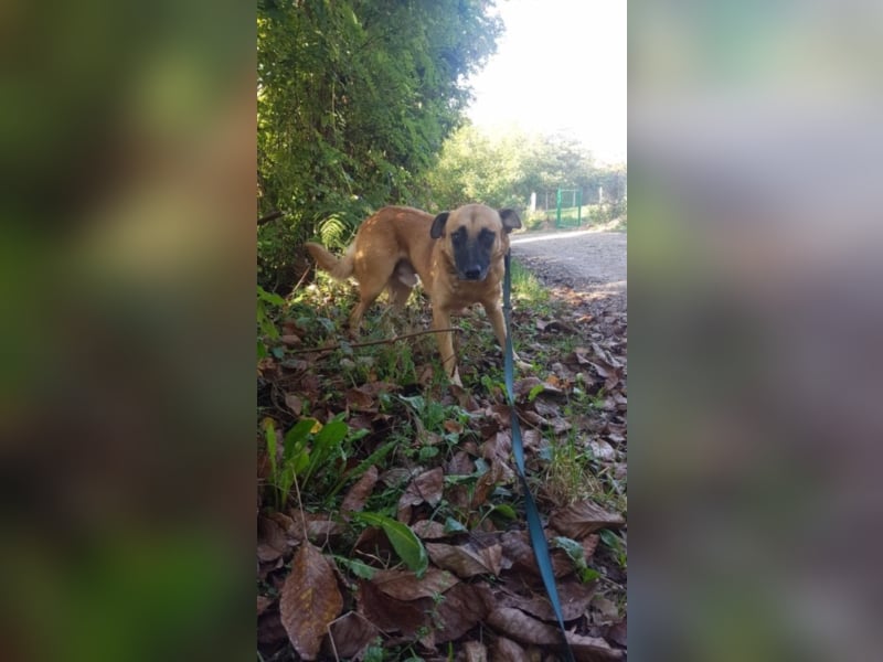 Max