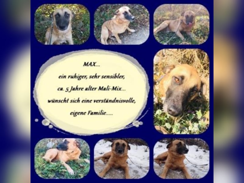 Max