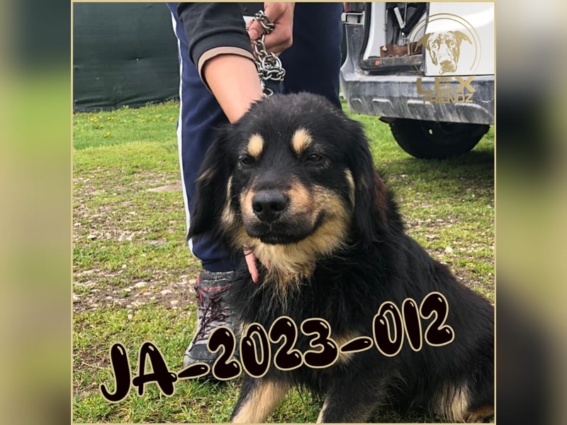 JA-2023-012 hofft auf Rettung