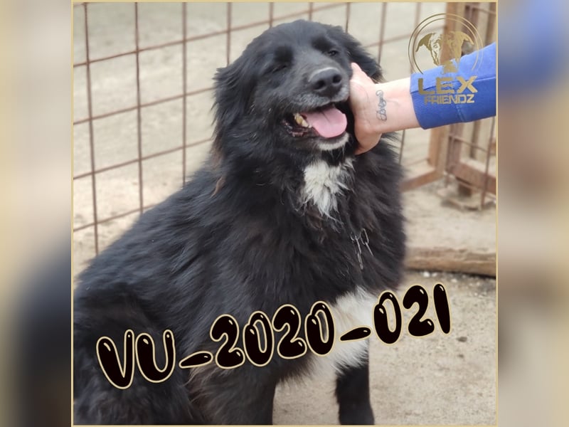VU-2020-021 träumt von seiner Familie