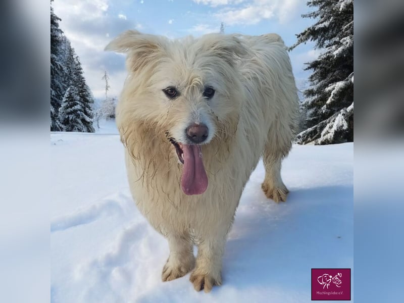 Blanco träumt von einem Leben bei DIR!