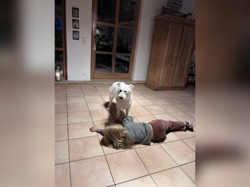 OLAF sucht ein Zuhause