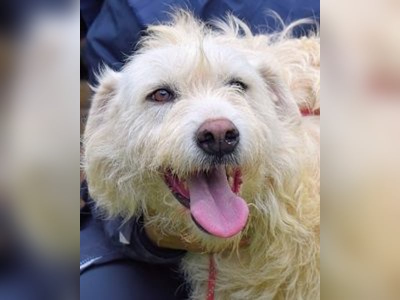 Gatsby - Der große Gatsby sucht seine Daisy