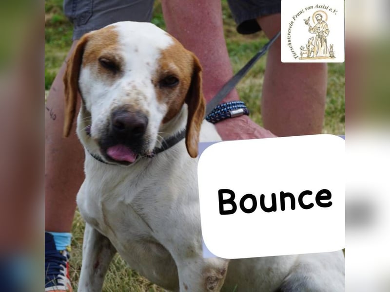 Bounce- Hummeln im Hintern & Sonne im Herzen!