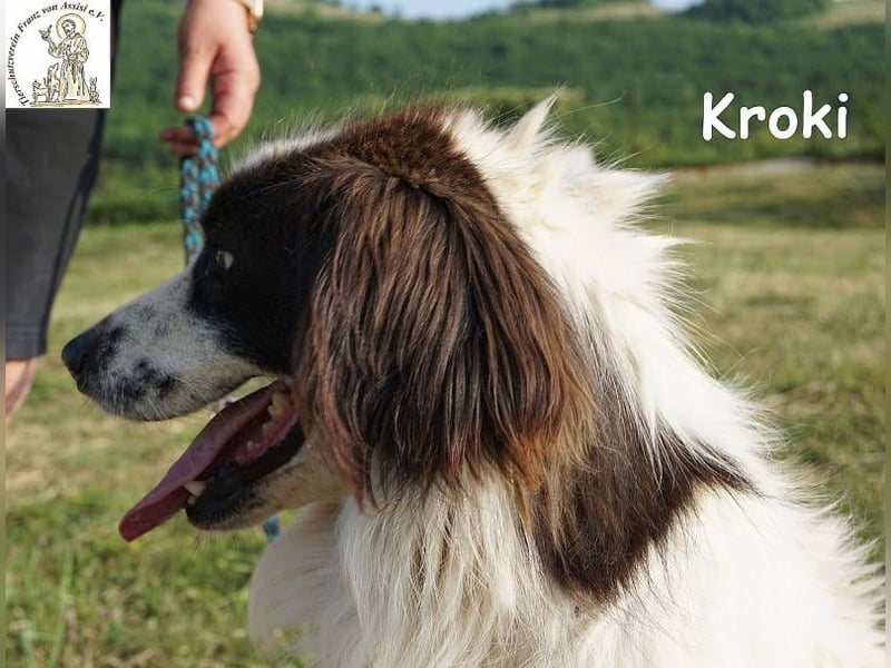 Kroki – Ein Blick, der genügt