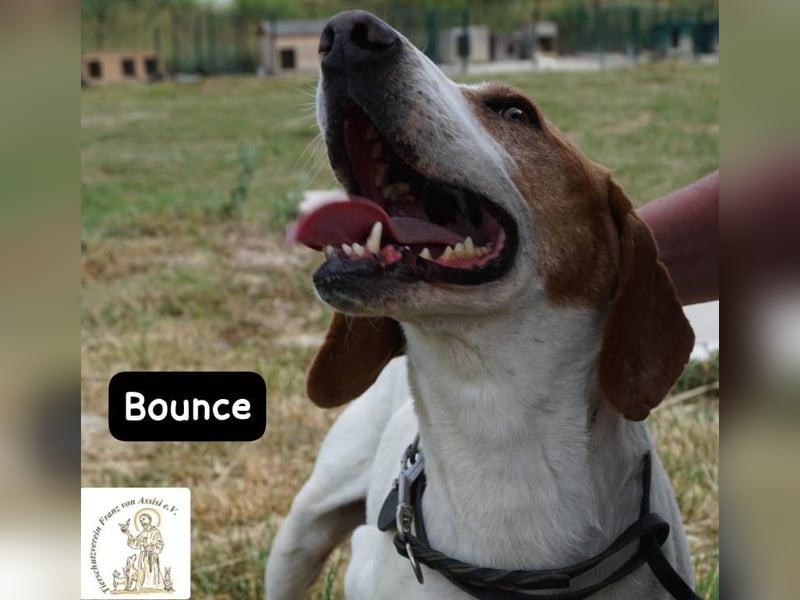 Bounce- Hummeln im Hintern & Sonne im Herzen!