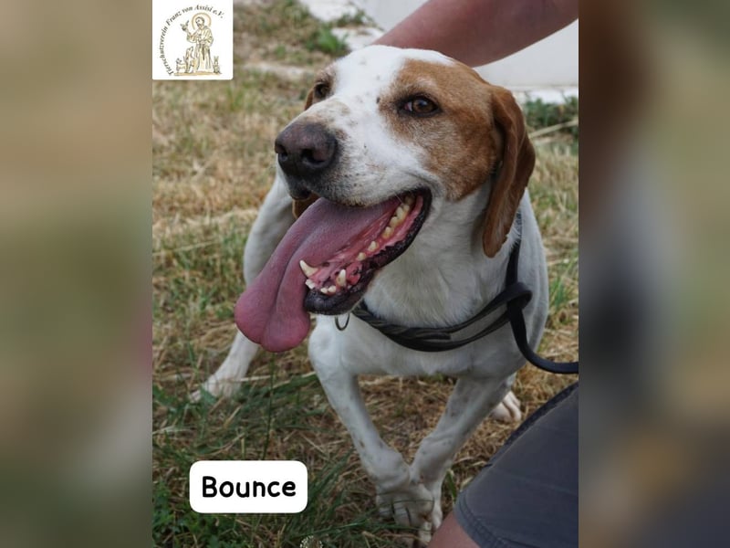 Bounce- Hummeln im Hintern & Sonne im Herzen!