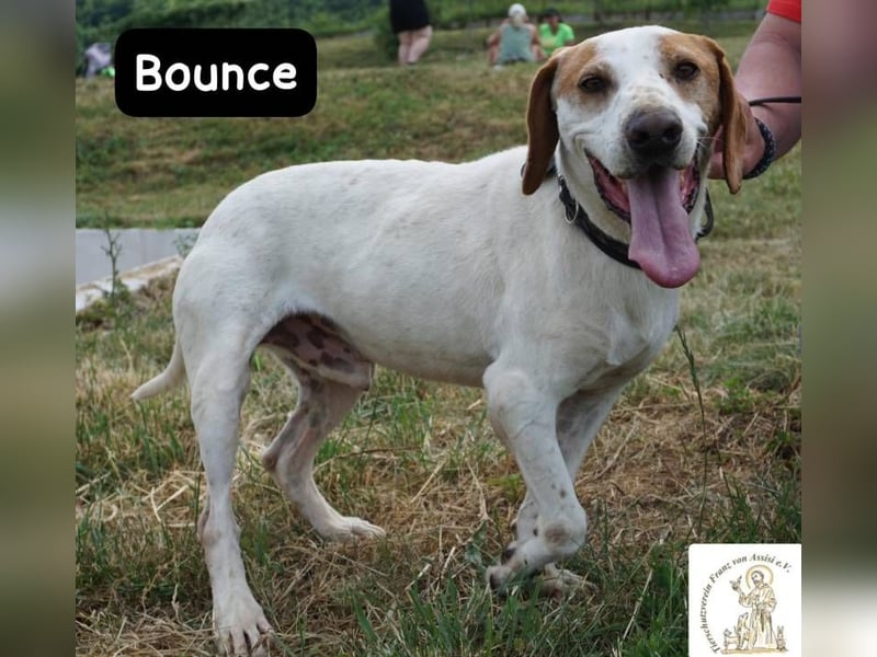 Bounce- Hummeln im Hintern & Sonne im Herzen!