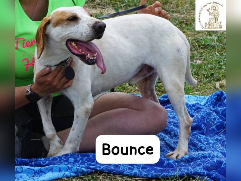 Bounce- Hummeln im Hintern & Sonne im Herzen!