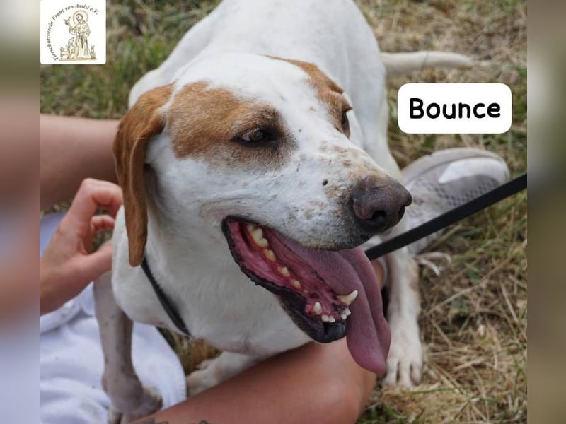 Bounce- Hummeln im Hintern & Sonne im Herzen!