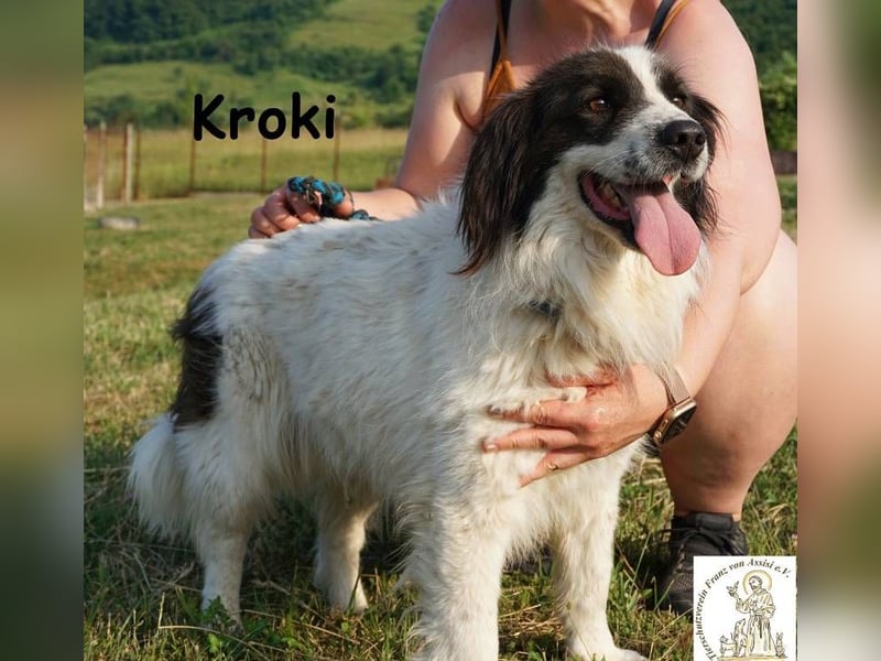 Kroki – Ein Blick, der genügt