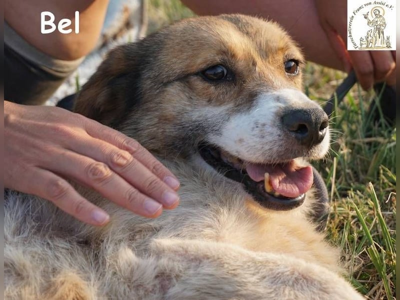 Bel – Der Sanfte!