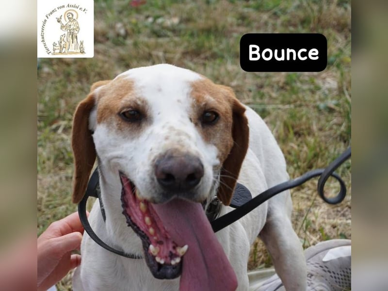 Bounce- Hummeln im Hintern & Sonne im Herzen!