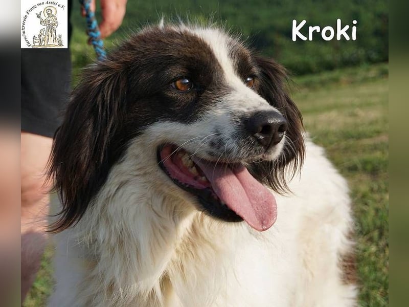 Kroki – Ein Blick, der genügt