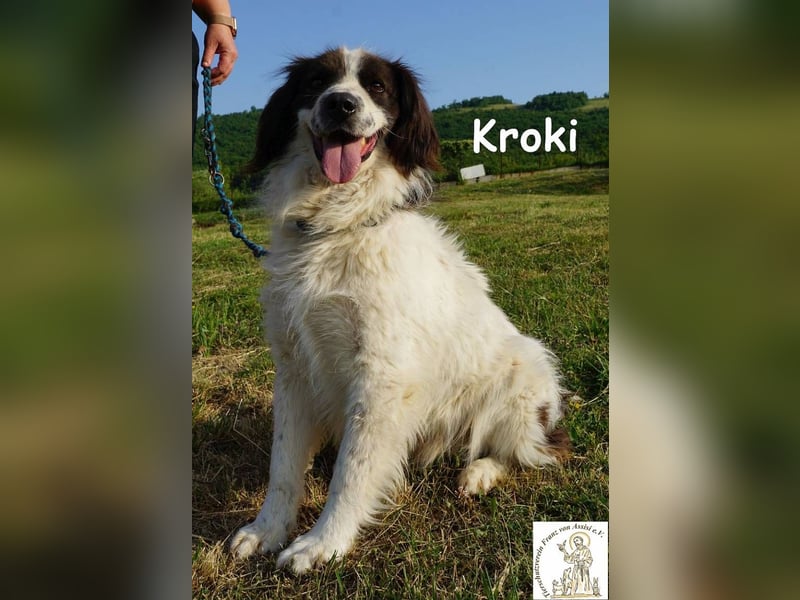 Kroki – Ein Blick, der genügt