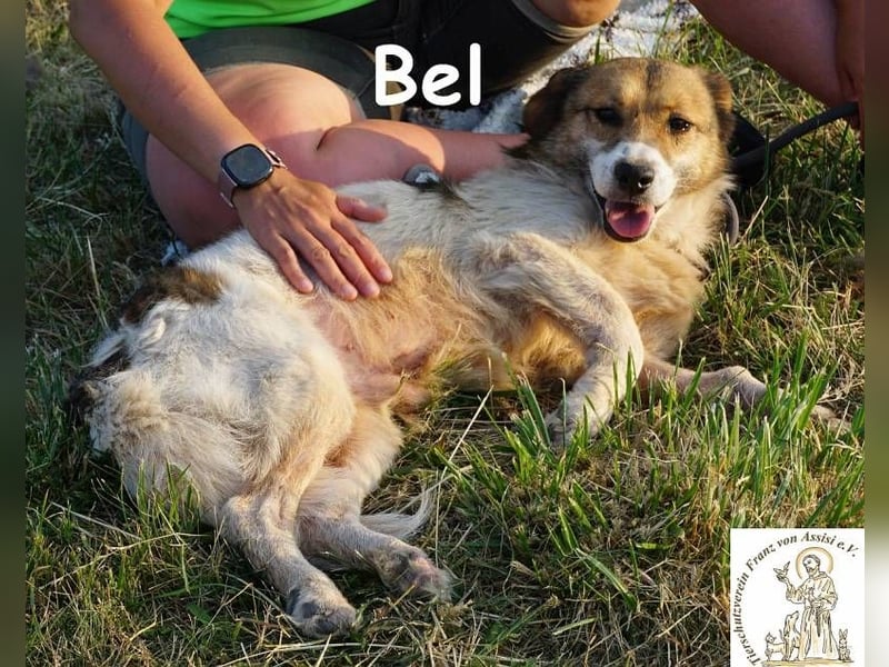 Bel – Der Sanfte!