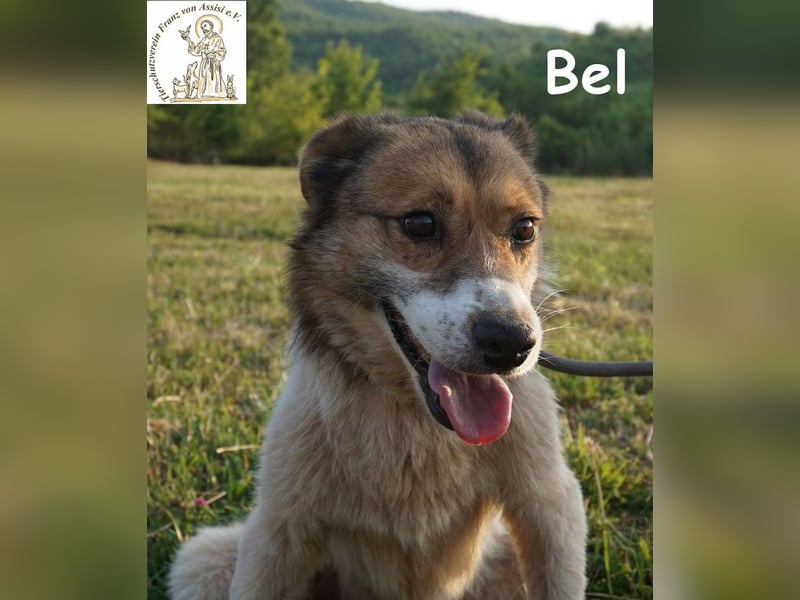 Bel – Der Sanfte!