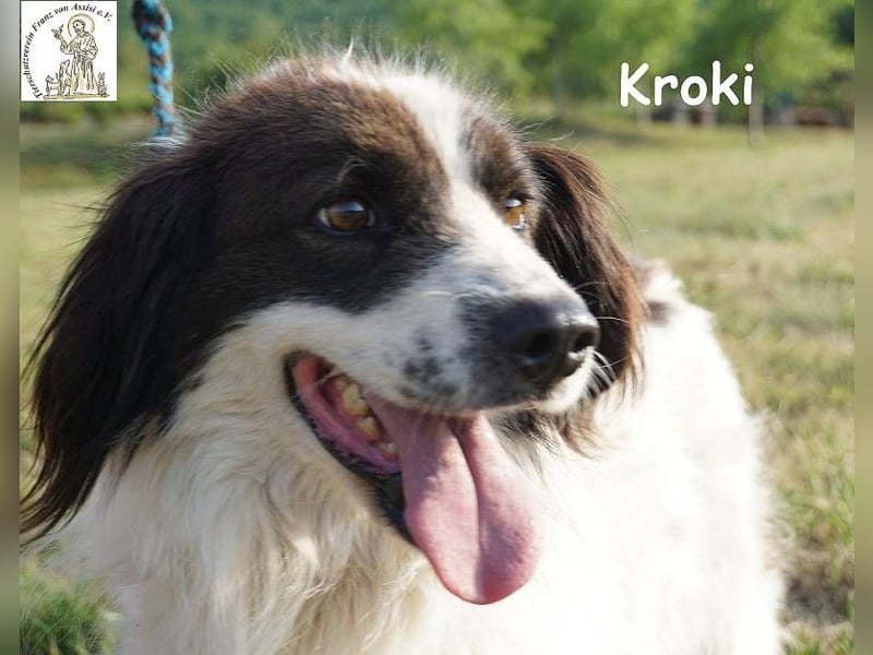 Kroki – Ein Blick, der genügt